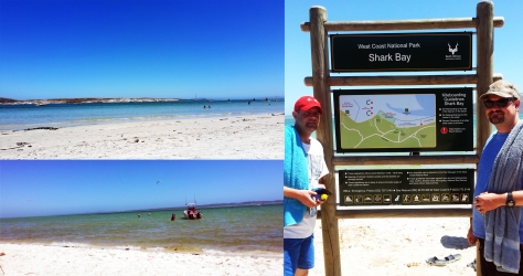 Langebaan Shark Bay