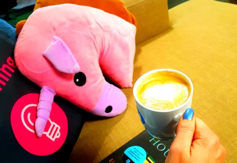 GetSmarter coffee and unicorn pillow