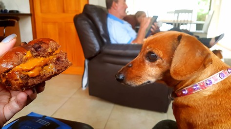 Sweet little Bassie was Very Interested in my chocolate hot cross bun, especially as I'd filled it with Caramel Treat.