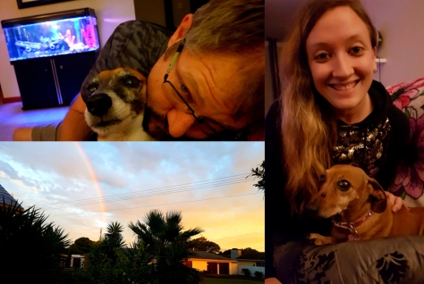 The weather was quite wintery when we got home that evening so we snuggled with the little doggies and noticed a rainbow just after sunrise the next morning.