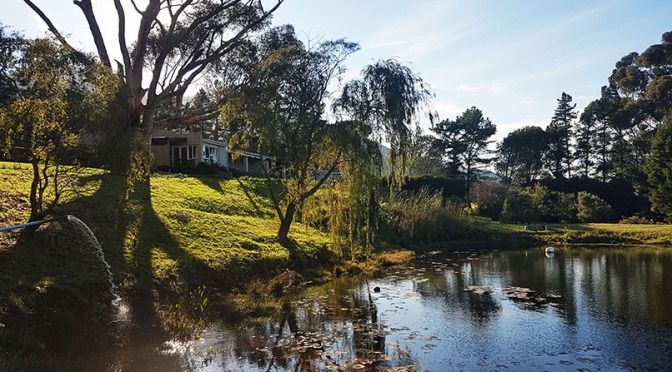 What to do in Stanford 2019: Stay at Blue Gum Country Estate